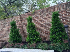 Кирпичный забор сплошной 12 метров фото в Павлово